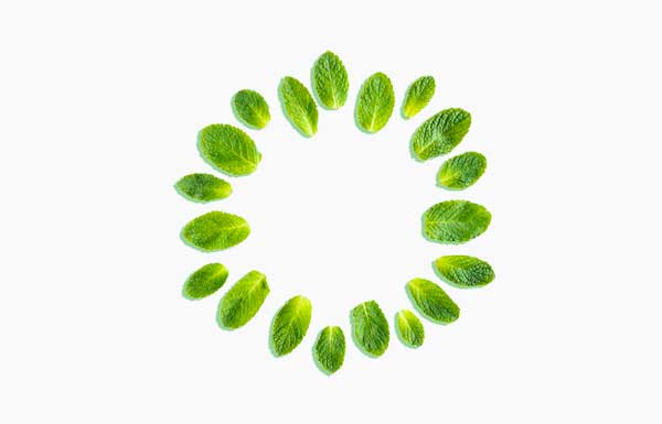 Avol Mint